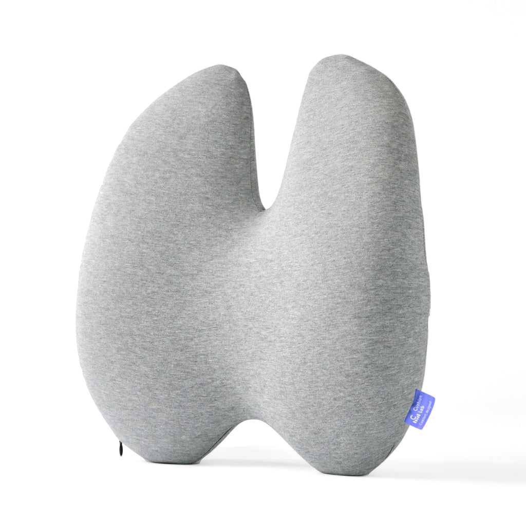 Easevora Lumbar Support product image 1